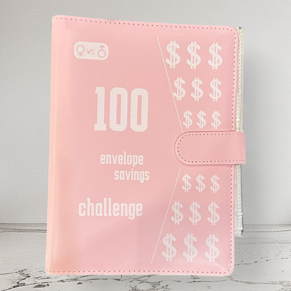 100 Envelopes Money Saving Challenge Binder